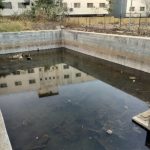 तळेगाव दाभाडे नगरपरिषदेचा निष्काळजीपणा! दोन वर्षं जुना विसर्जन हौद ‘डेंगू प्लांट’ बनला