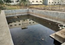 तळेगाव दाभाडे नगरपरिषदेचा निष्काळजीपणा! दोन वर्षं जुना विसर्जन हौद ‘डेंगू प्लांट’ बनला